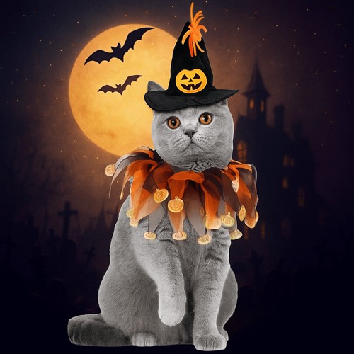 Pumpkin cat collar hat - collar,