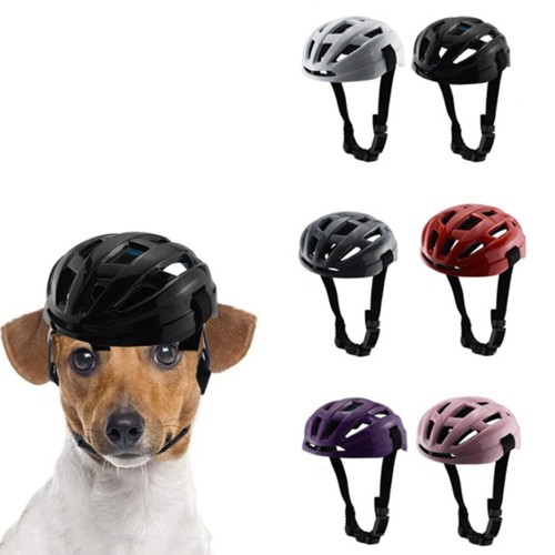 Small dog cat helmet - small,