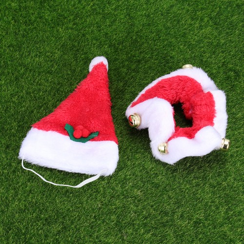 Cat christmas dress - christmas, with