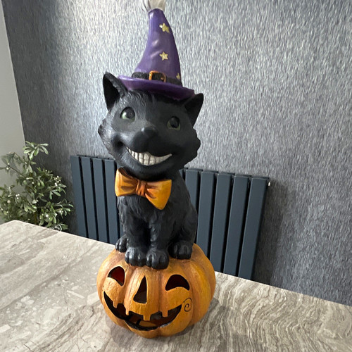 Halloween light black cat - light-up,