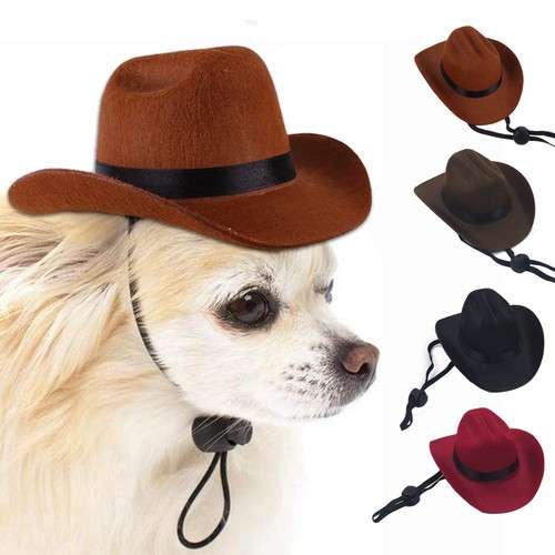 Adjustable pet cowboy hat - pet,