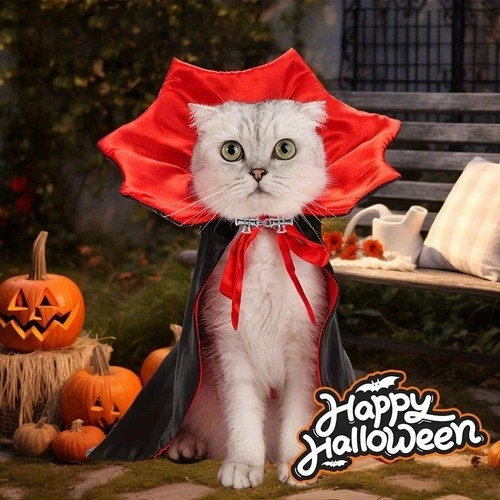 Halloween pet cat dog vampire - pet,