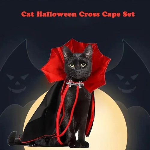 Halloween pet cat - halloween, vampire