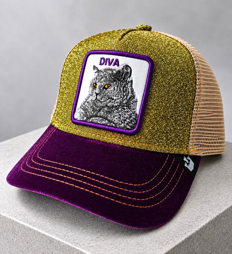 Goorin bros the - bros, cat