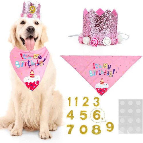Wovte dog birthday hat cat - wovte,