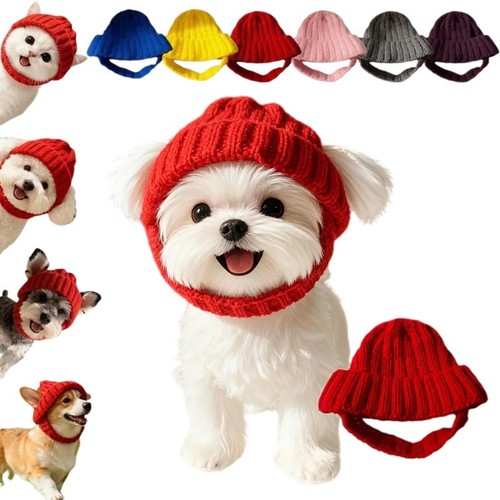 Cute knitted pet hat for - hat, small