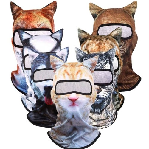 Cat animal ski - animal,
