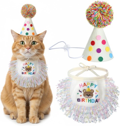 Tyqour dog cat birthday - tyqour, hat