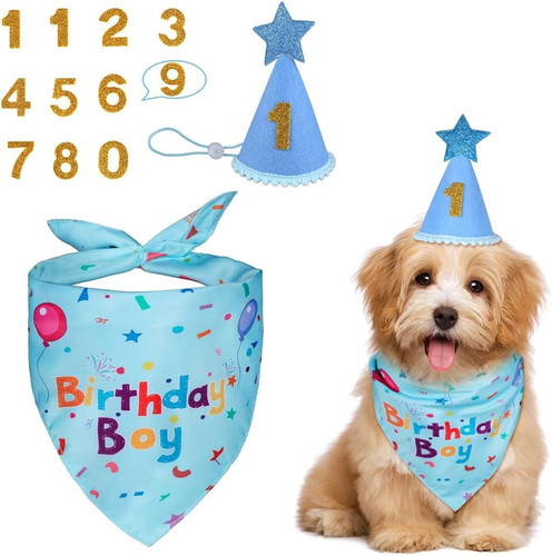 Adjustable dog birthday hat - dog,