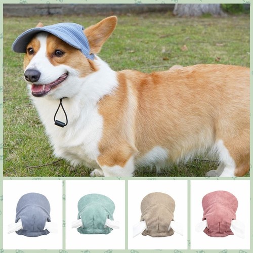 Dog baseball cap - cap,