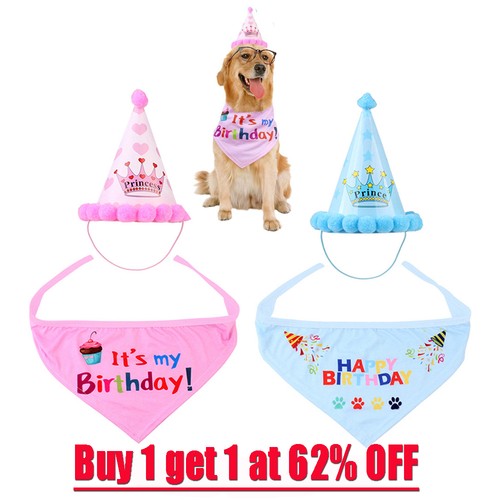 Pet dog cat happy - dog, hat