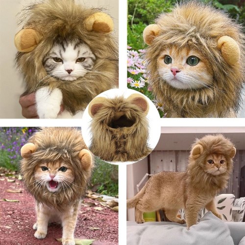 Funny puppy kittens knitted - funny,