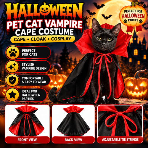 Halloween pet cat - pet, dog