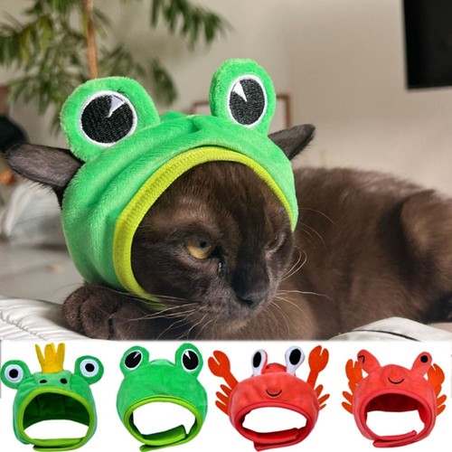 Cat frog hat dog - cat,