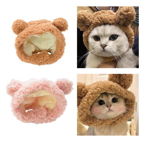 Cat costume warm bear - costume,