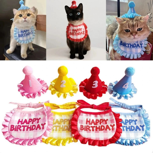 Pet birthday party hat - party, bib