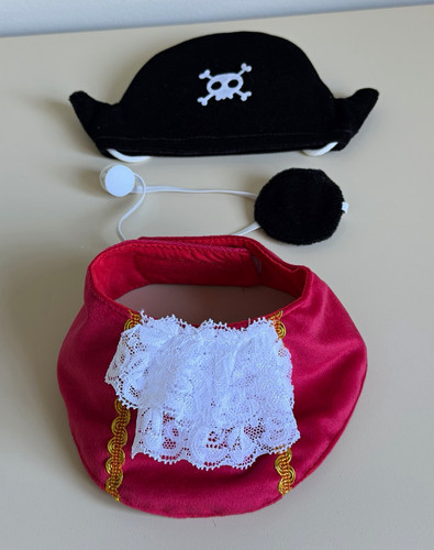 Cat dog pirate - cat,