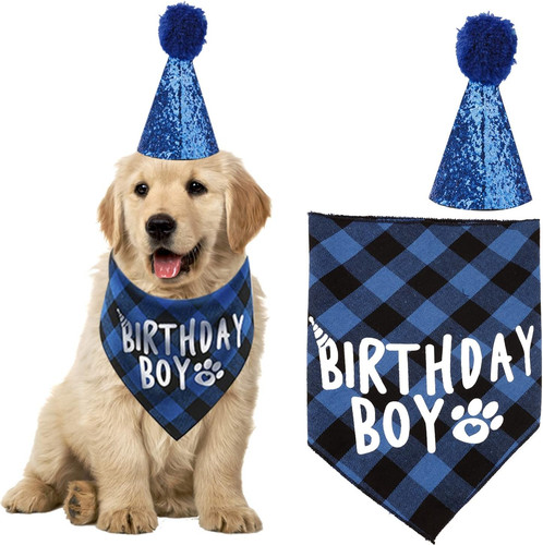 Pet birthday outfit set - pet, set,