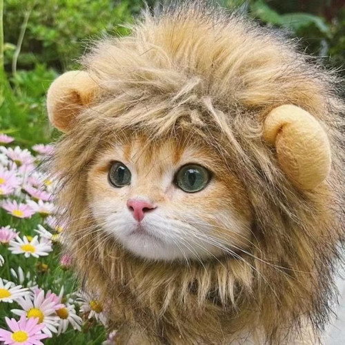 Funny pet lion mane - funny, wig