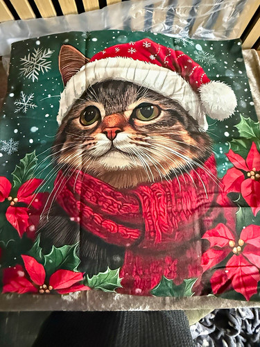 Christmas cat santa - santa, hat