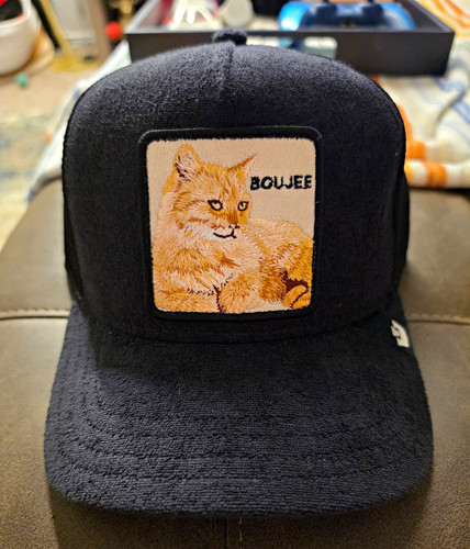 Goorin bros boujee - boujee, cat