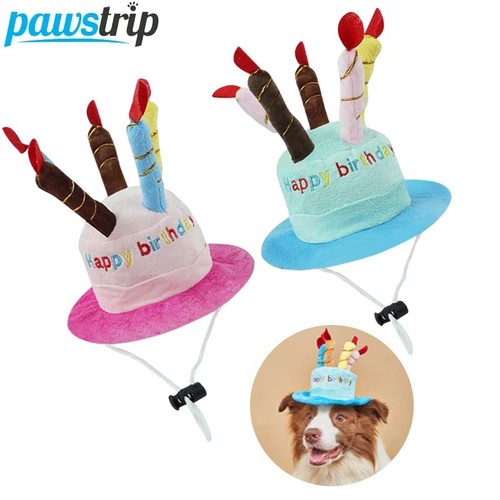 Pet dog birthday party - pet,