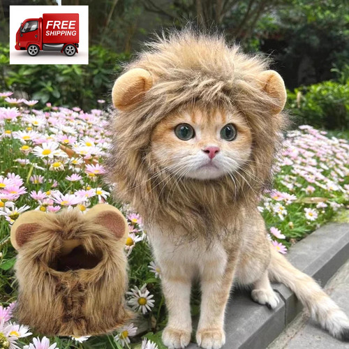 Lion mane cat costume cute - costume, pet