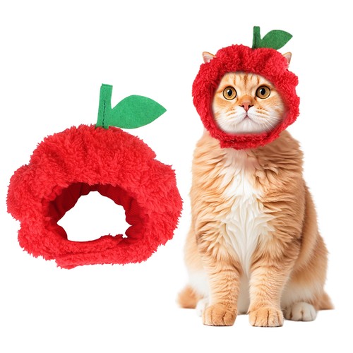 Cat hats costume cute - cat,