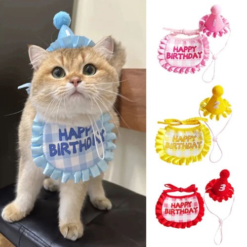 Cat birthday scarf hat - hat, dog
