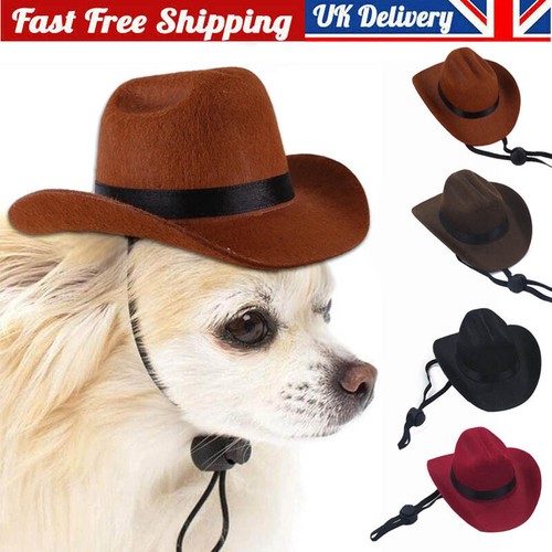 Adjustable pet cowboy - adjustable,
