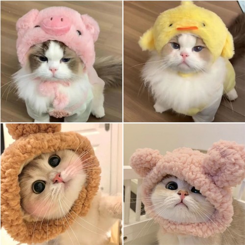 Dog cat pet hat cute - pet, plush