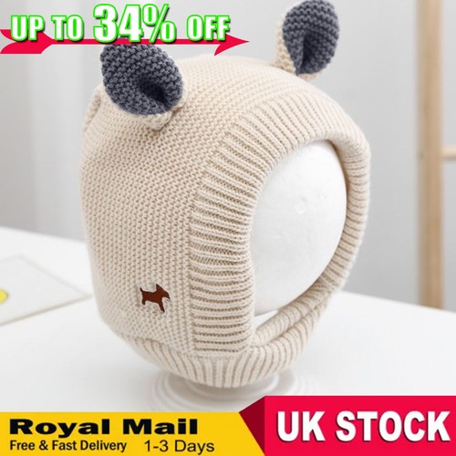 Autumn winter cat - autumn,