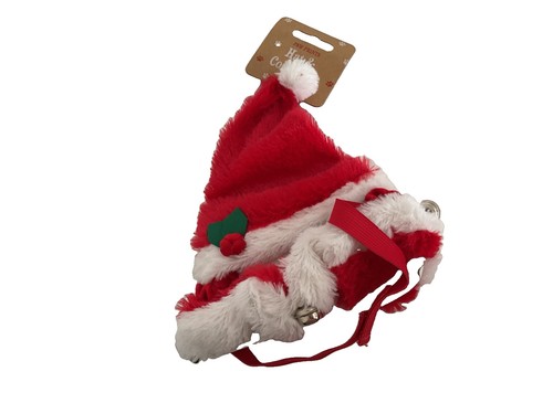 Festive pet hat and - festive, collar