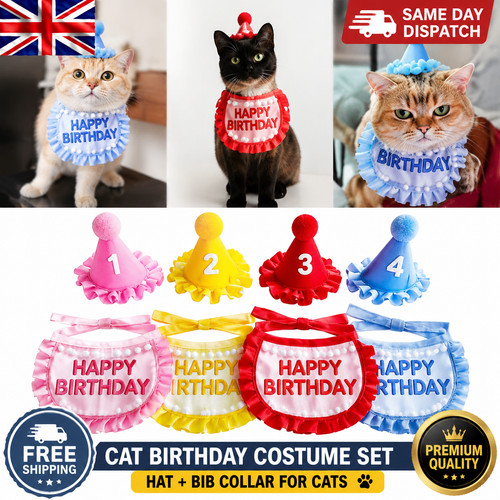 Pet birthday party - hat, bib