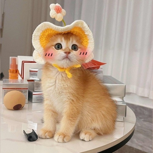 Cute cat hat - cat, adjustable